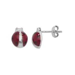 Acotis Silver Stud Earrings Ladybird G51105