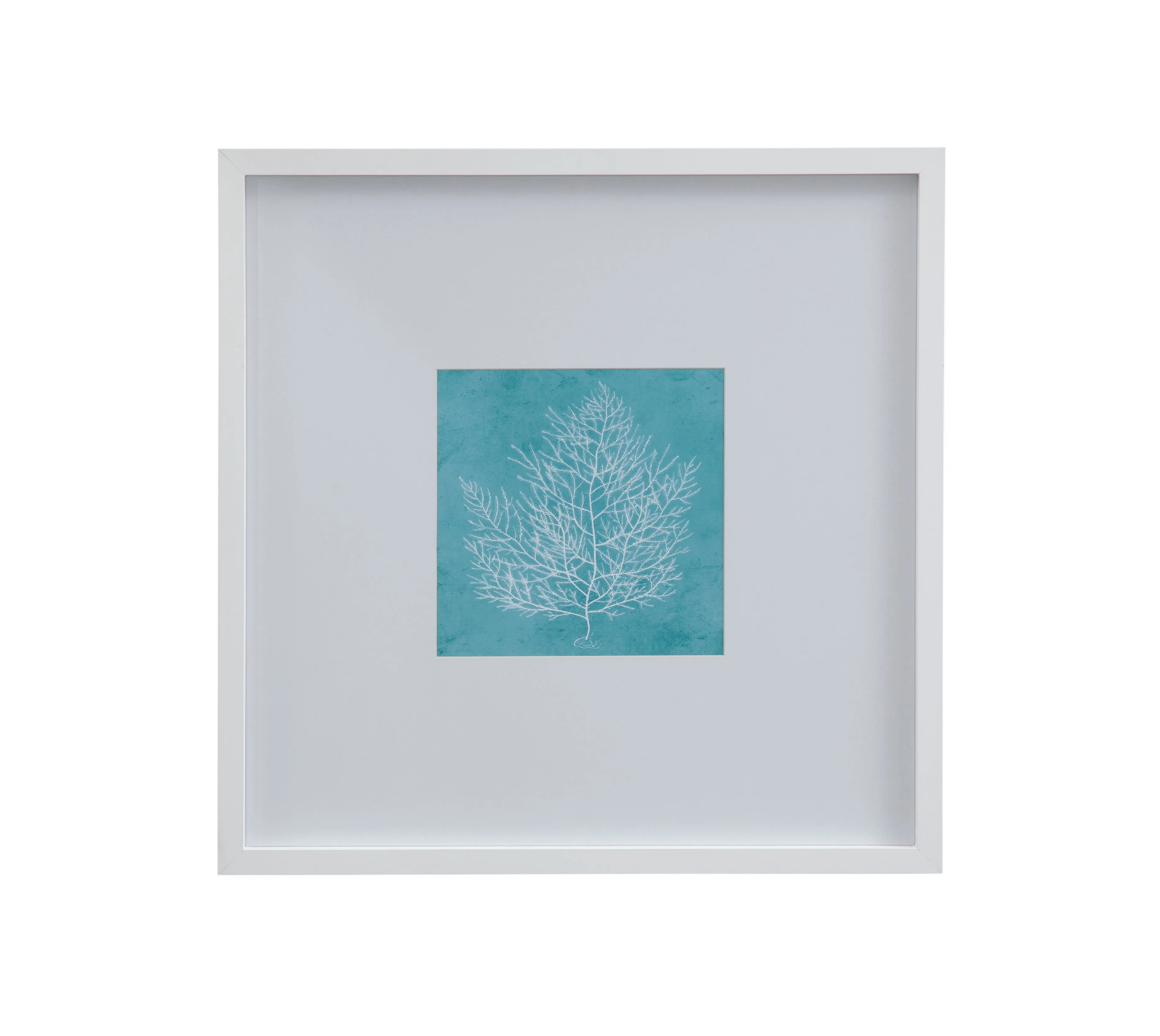 White Coral On Blue - I Framed Print - Blue / White
